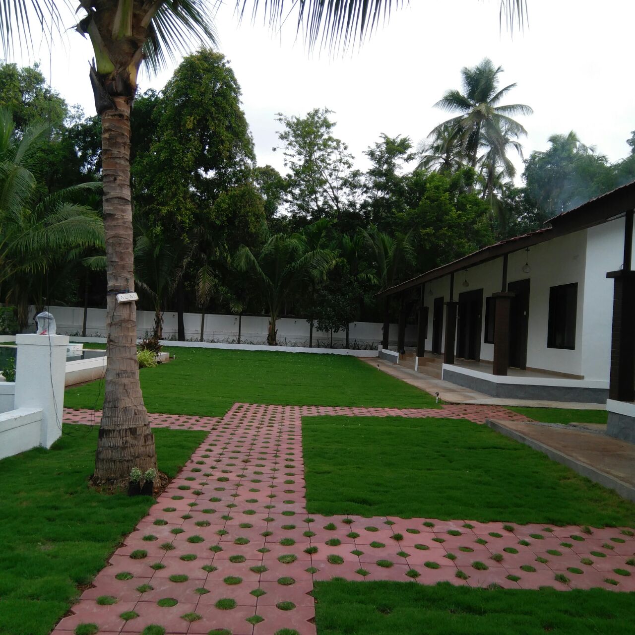 Ice Apple Resort-Gallary